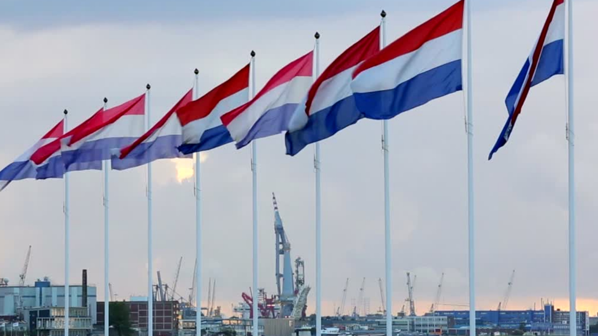 הולנדיה מדווחת על ירידה גדולה בתמותה בזכות תכנית הסריקה לסרטן המעי הגס