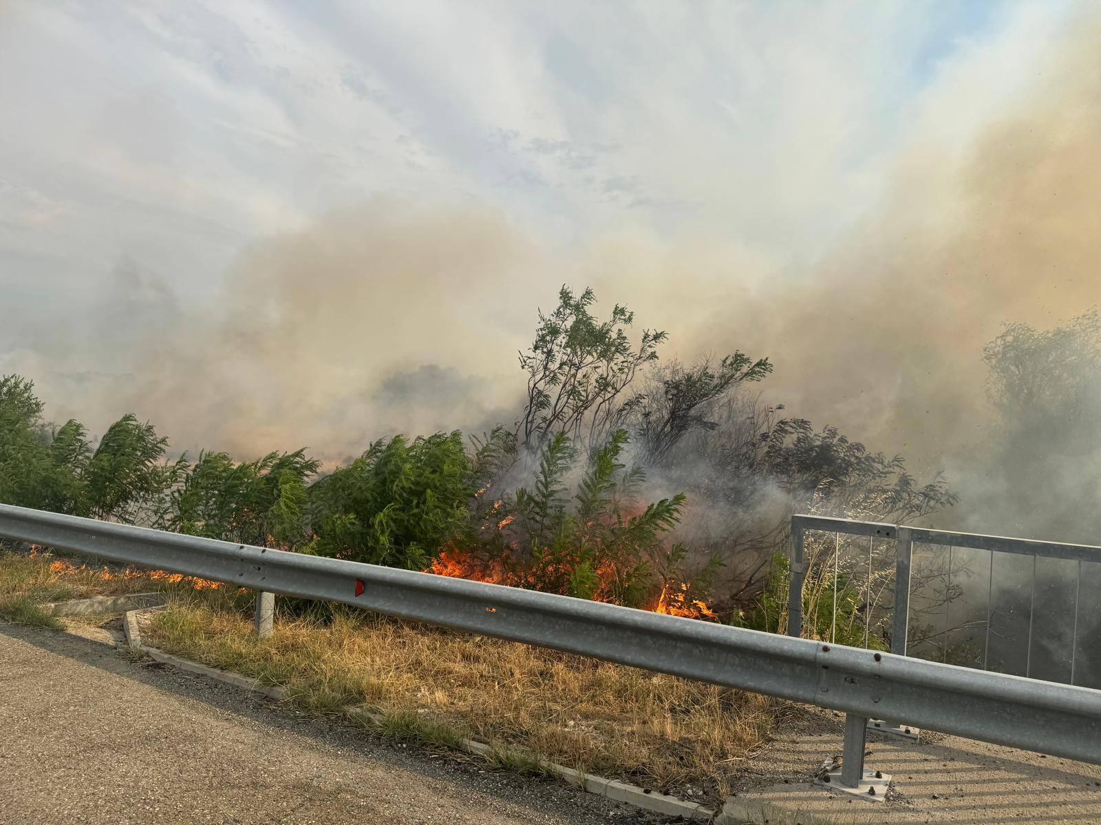 שריפת יער גדולה בבולגריה סוגרת כבישים ופוגעת בעשרות אלפי דונם סביבה