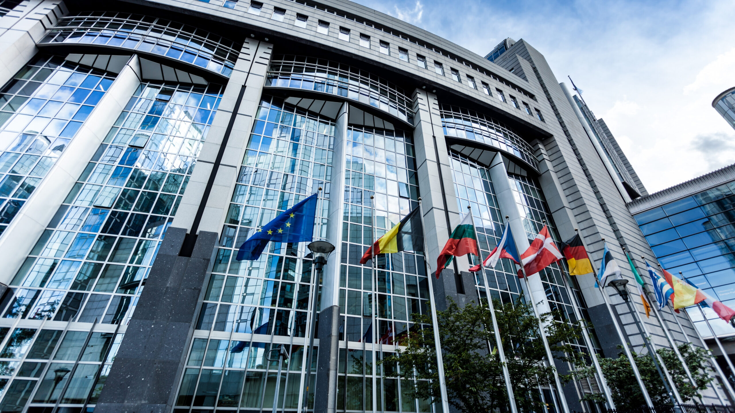 האיחוד האירופי עובר לדיגיטל: כל הרישיונות יהיו דיגיטליים עד שנת אלפיים שלושים